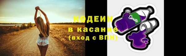 соль ск Пересвет