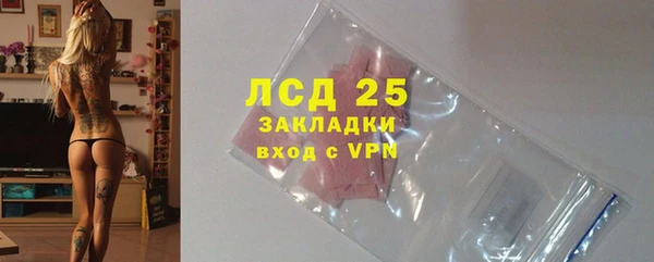 соль ск Пересвет