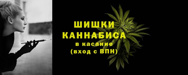 крисы Переславль-Залесский