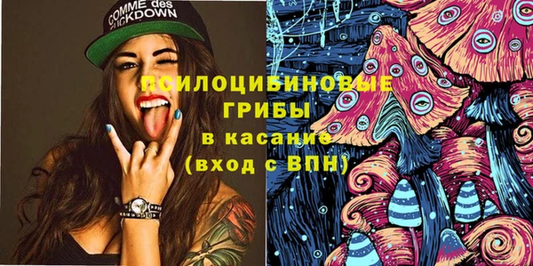 соль ск Пересвет
