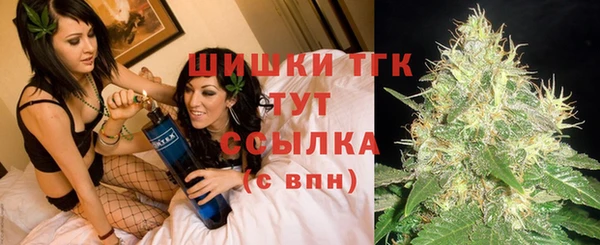 соль ск Пересвет