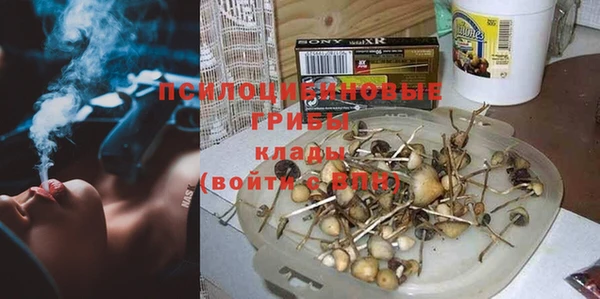 соль ск Пересвет