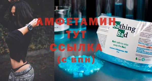 соль ск Пересвет